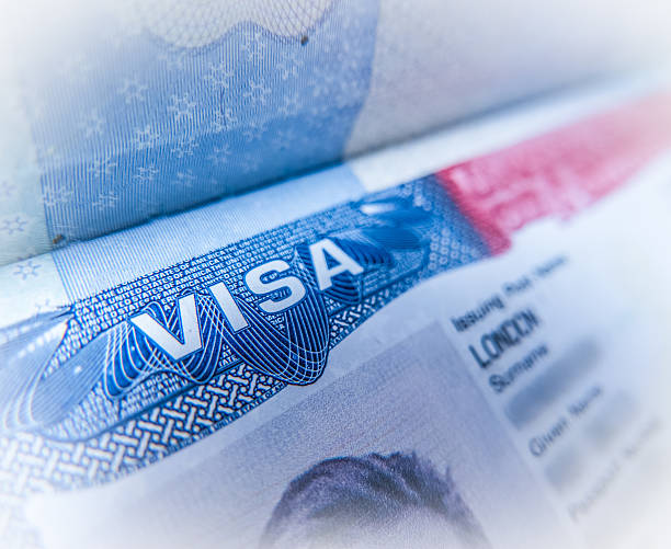 A close up of the visa section of an american passport.